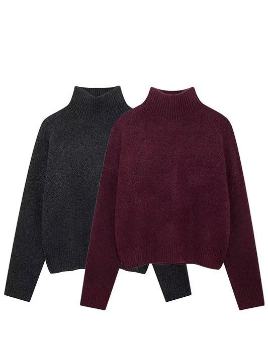 HH Women Vintage Burgundy Turtleneck Sweater Casual Long Sleeve Knitted Pullover Autumn Winter Women Solid Warm Knitwear